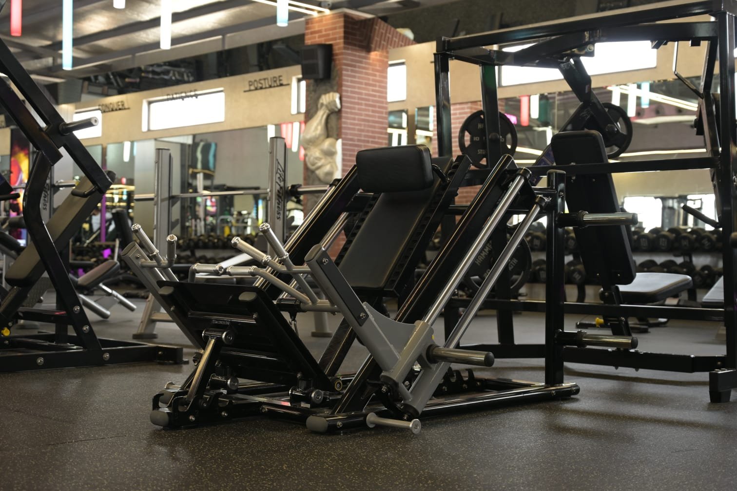Premium gym equipment