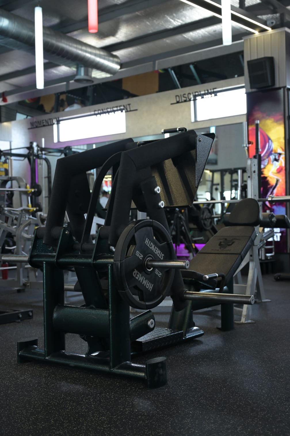 Premium gym equipment