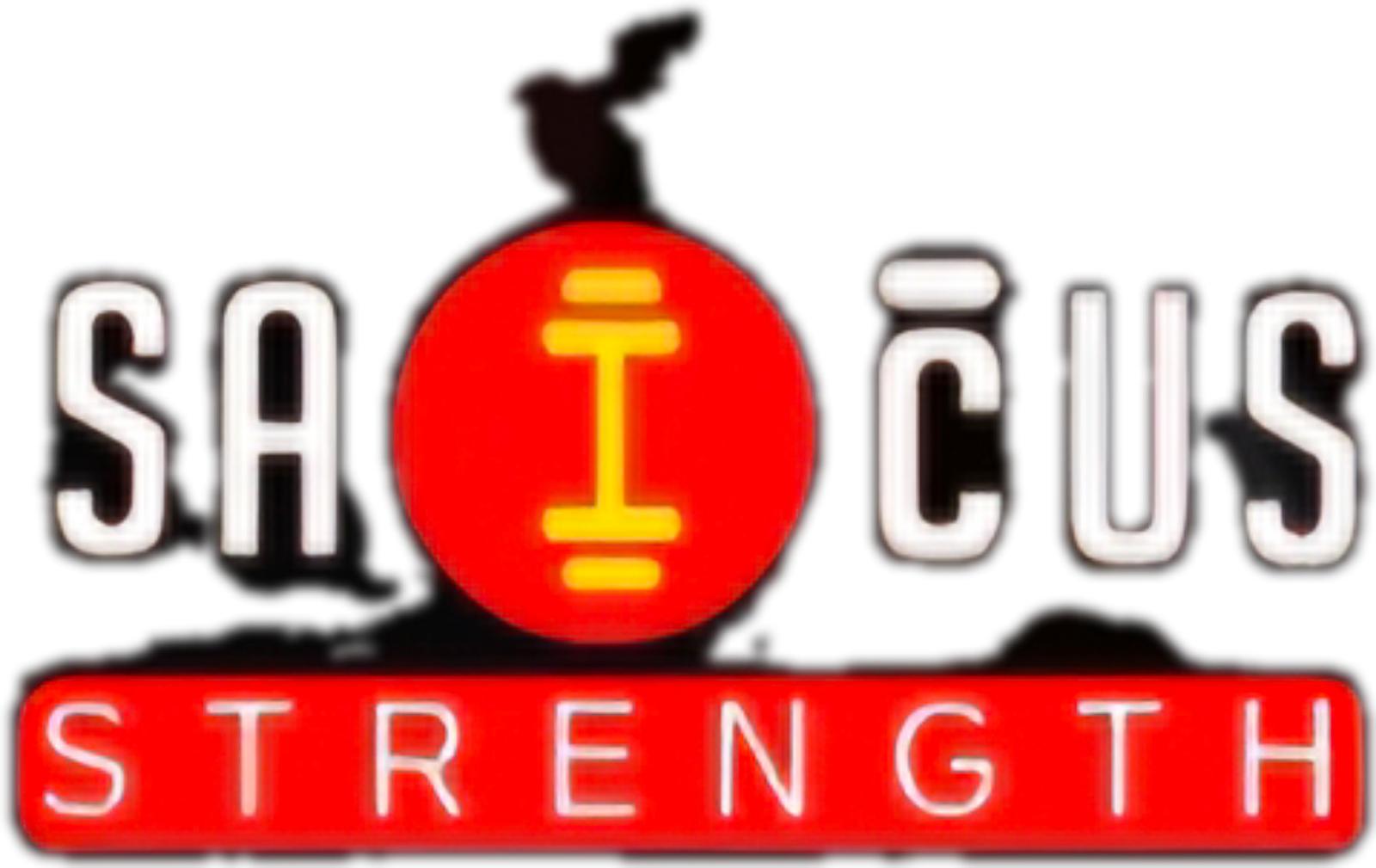 Saicus Strength